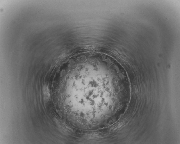 X0000073711106200608101832