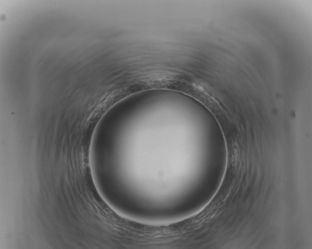 X0000073711108200608101832