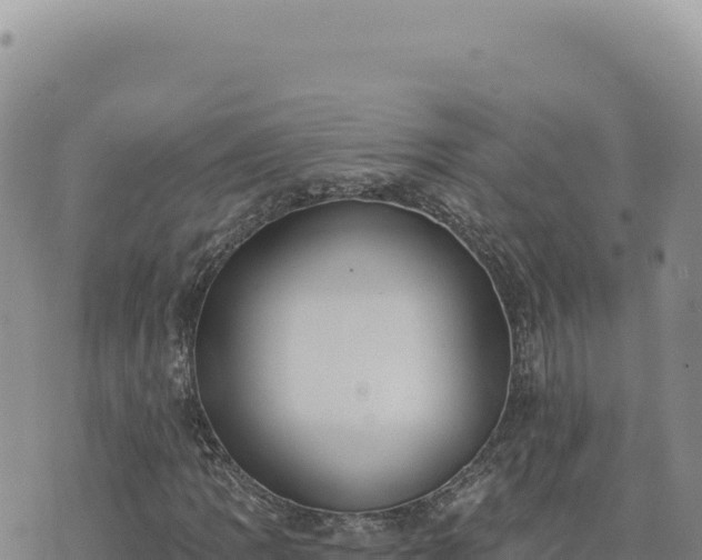 X0000073711109200608101832