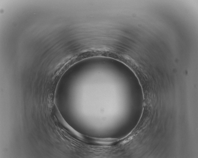 X0000073711110200608101832