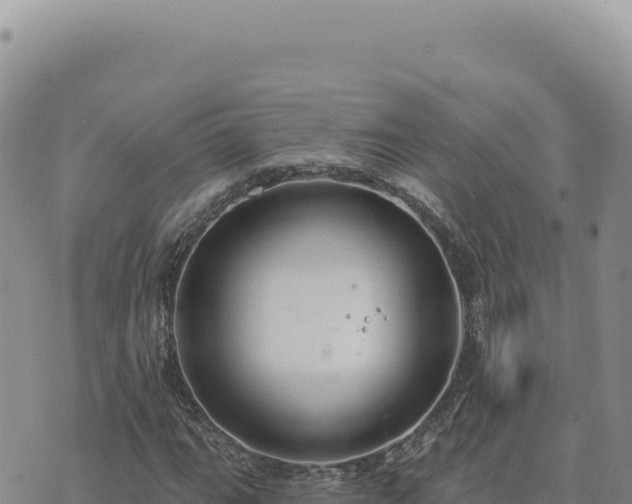 X0000073711111200608101832