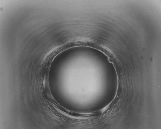 X0000073711112200608101832