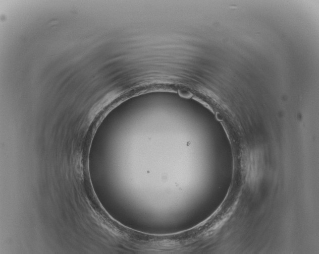 X0000073711113200608101832