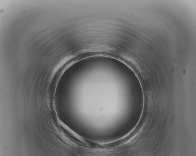 X0000073711114200608101832