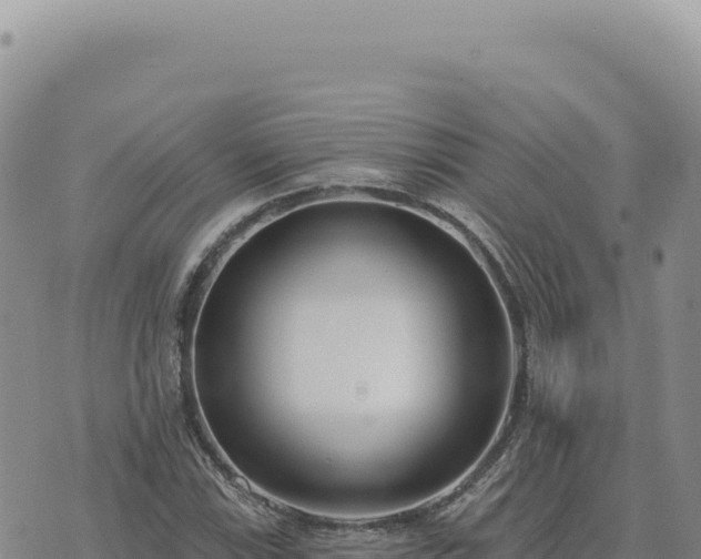 X0000073711115200608101832