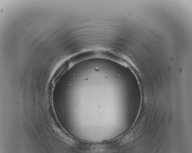 X0000073711116200608101832