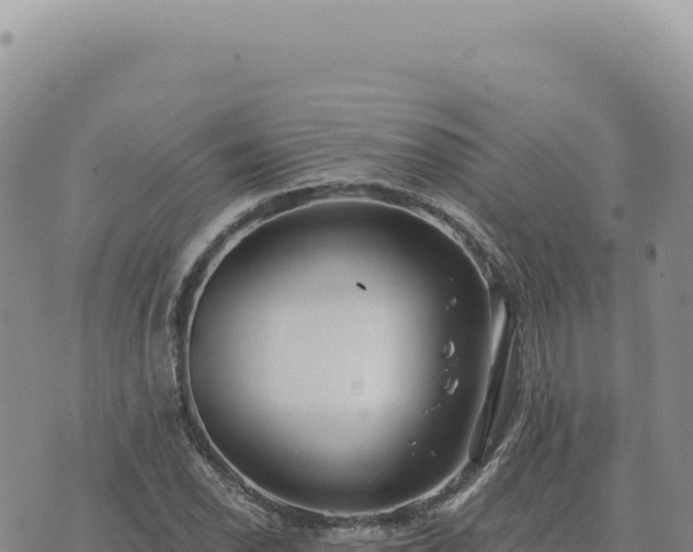 X0000073711118200608101832