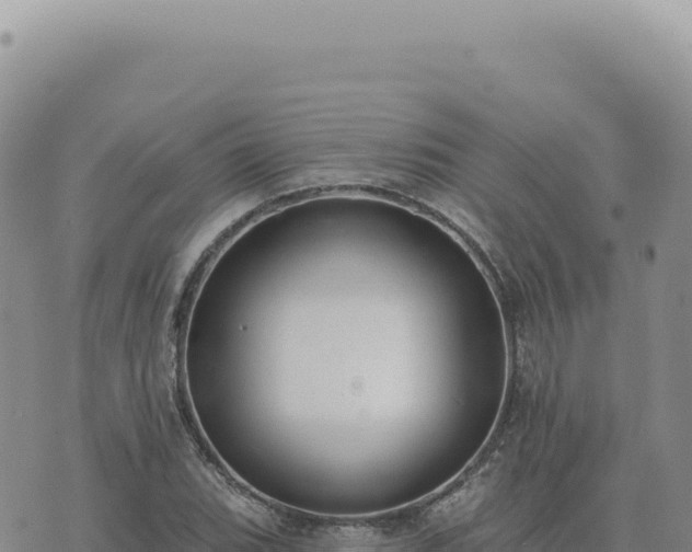 X0000073711119200608101832