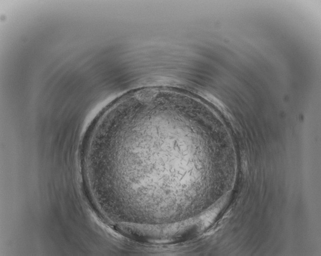 X0000073711120200608101832