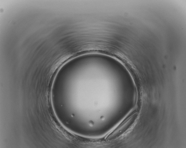 X0000073711121200608101832