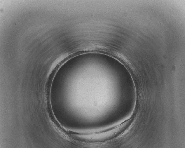 X0000073711122200608101832