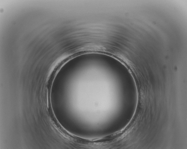 X0000073711123200608101832