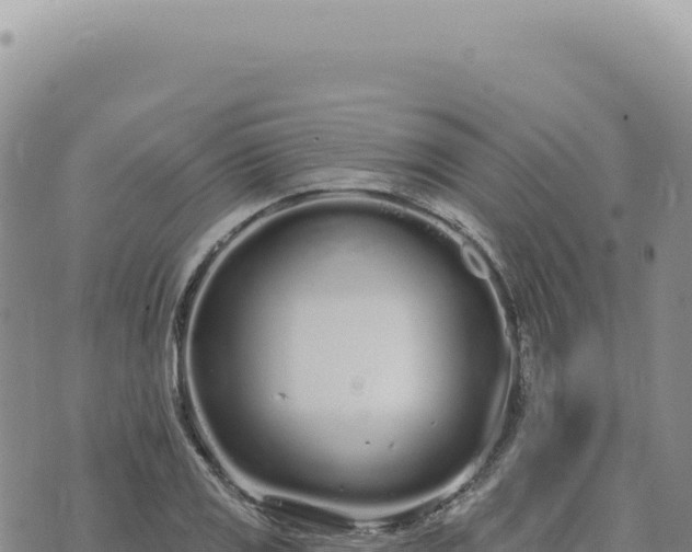 X0000073711125200608101832