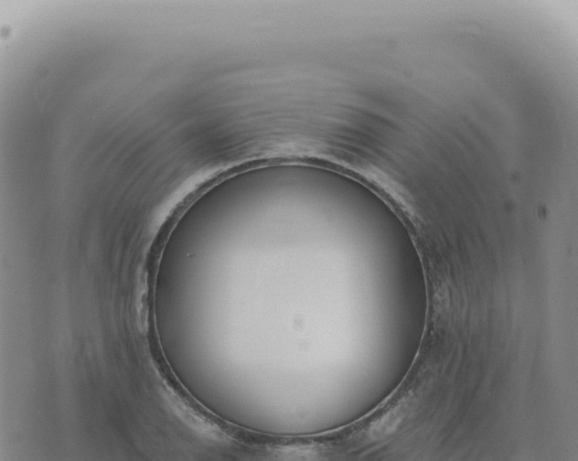 X0000073711126200608101832