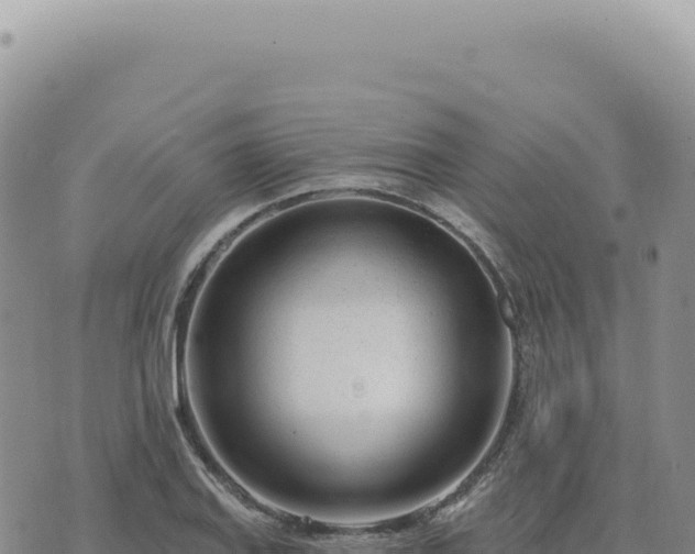 X0000073711127200608101832