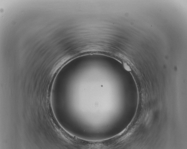 X0000073711129200608101832