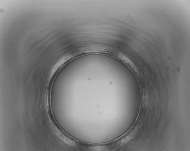 X0000073711130200608101832