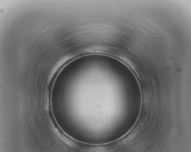 X0000073711131200608101832