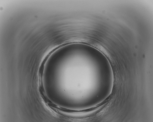 X0000073711132200608101832