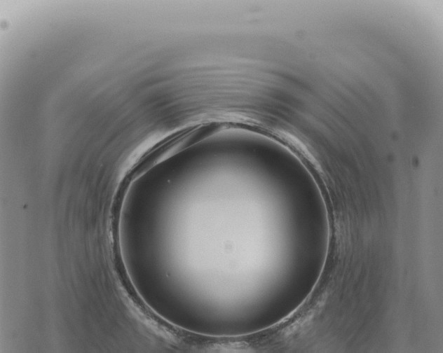 X0000073711133200608101832