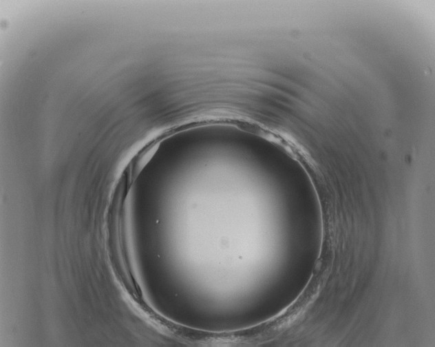 X0000073711134200608101832