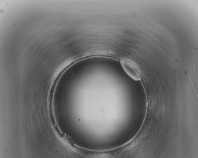 X0000073711135200608101832