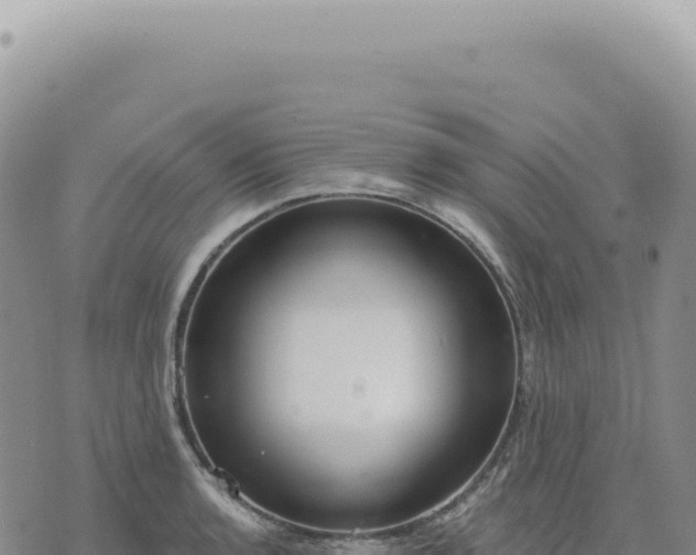 X0000073711136200608101832