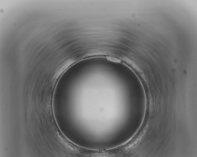 X0000073711137200608101832