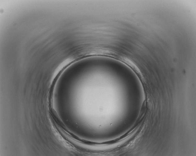 X0000073711138200608101832