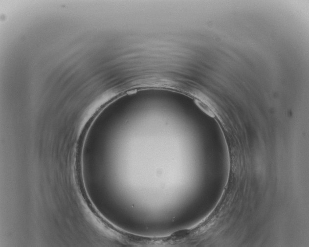 X0000073711139200608101832