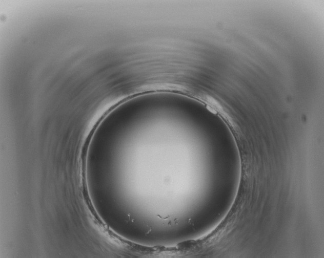 X0000073711140200608101832