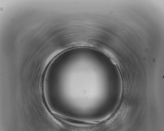 X0000073711141200608101832