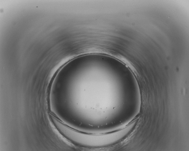 X0000073711142200608101832