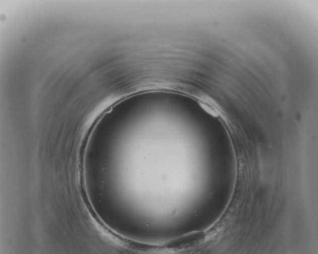 X0000073711143200608101832