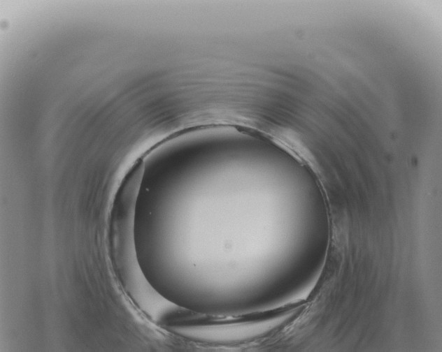 X0000073711144200608101832