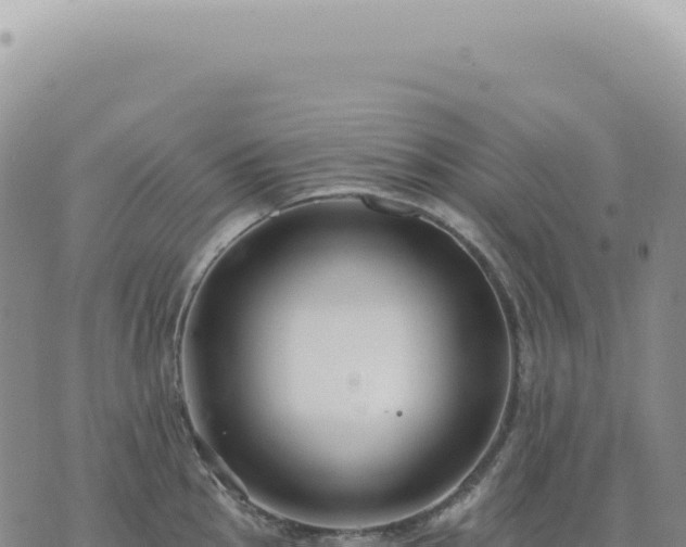 X0000073711145200608101832