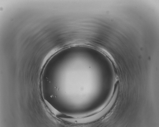 X0000073711146200608101832