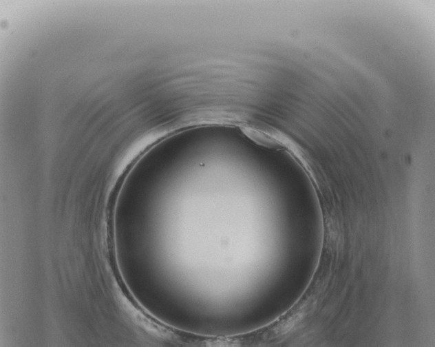 X0000073711147200608101832