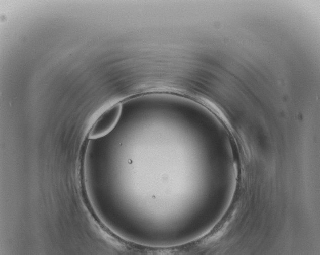 X0000073711149200608101832