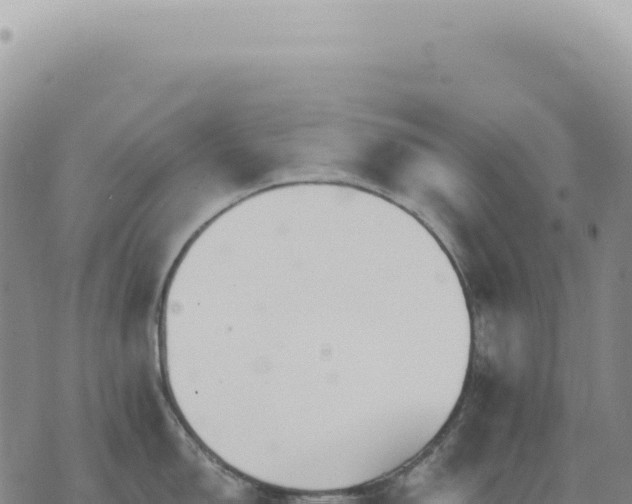 X0000073711150200608101832