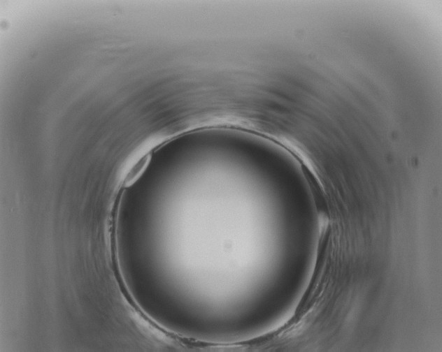 X0000073711151200608101832