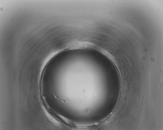 X0000073711152200608101832