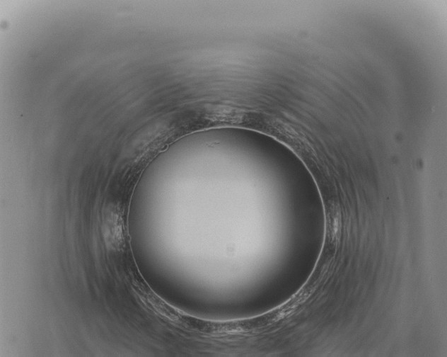 X0000073711154200608101832