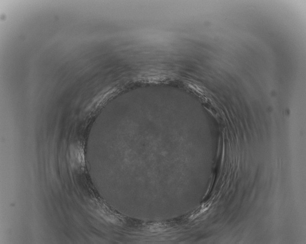 X0000073711155200608101832