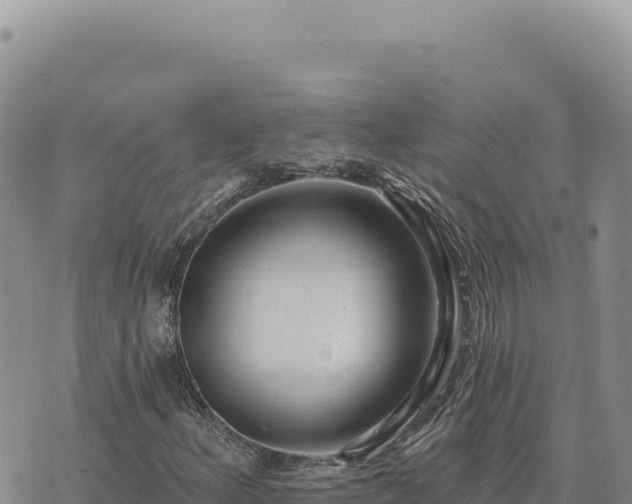 X0000073711156200608101832