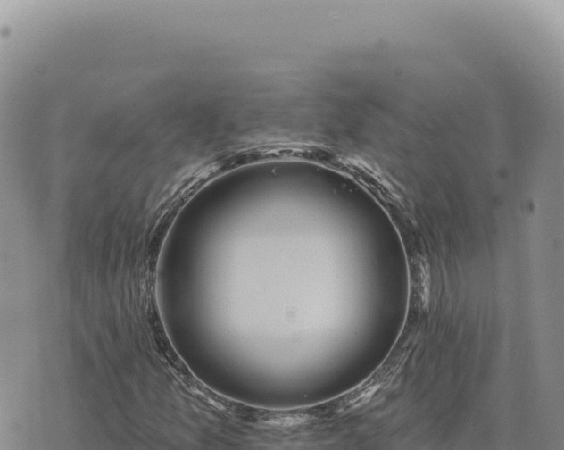 X0000073711157200608101832