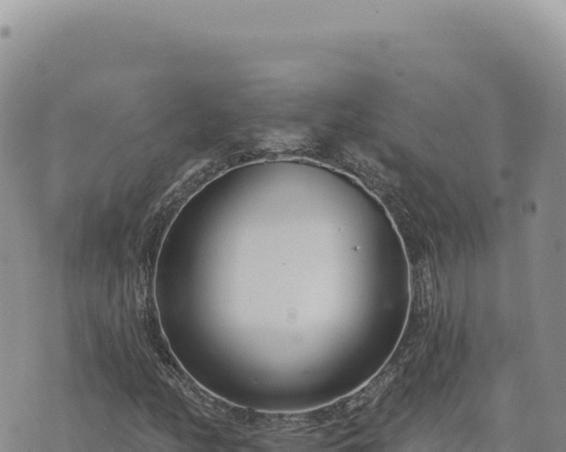 X0000073711158200608101832