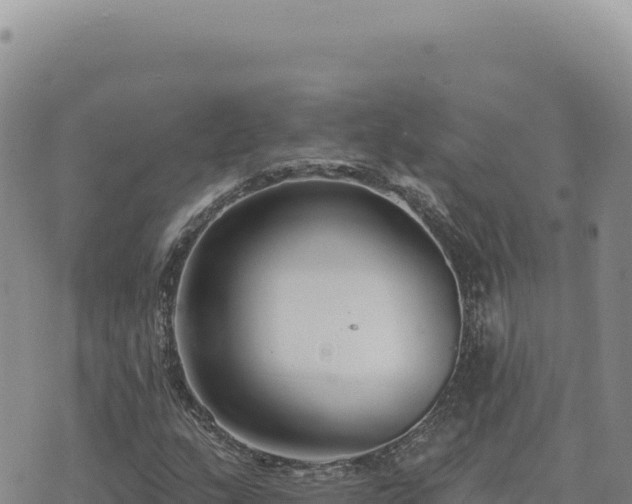 X0000073711159200608101832