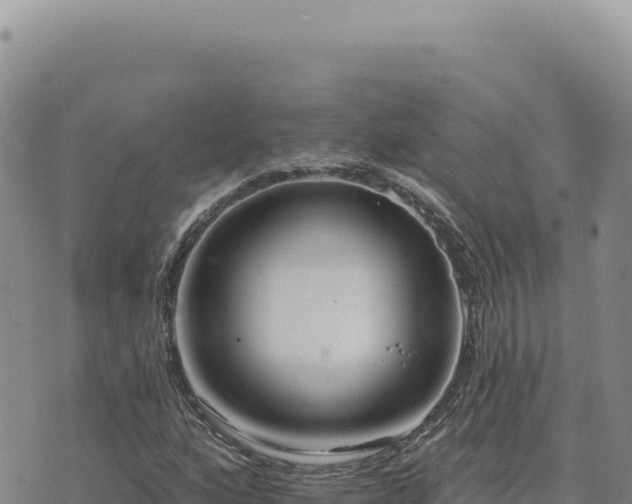 X0000073711160200608101832