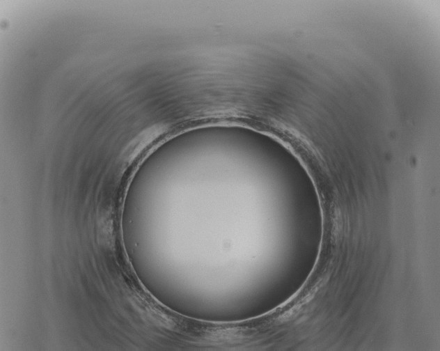 X0000073711162200608101831